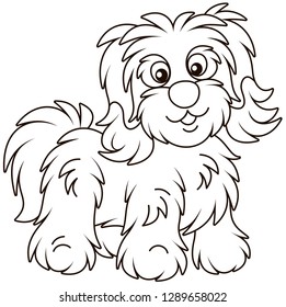 Little funny Bichon Avanese lap-dog with long hair, black and white vector illustrations in a cartoon style for a coloring book