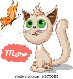 little funny cat illustration butterfly 