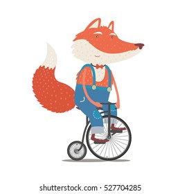 Little funny Fox in pants with furry tail goes on the bike. Red fluffy tail