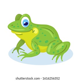 Little funny frog is sitting. Isolated on white background. Flat style. Vector illustration.