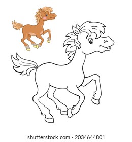 Little funny horse is running.  Black and white picture for coloring book with a colorful example. In cartoon style. Isolated on white background. Vector illustration.