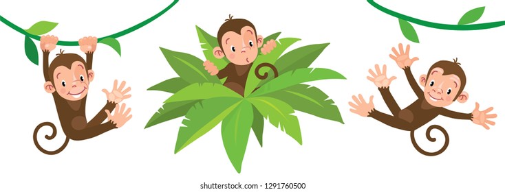 Little funny monkeys on lians. Illustrations set