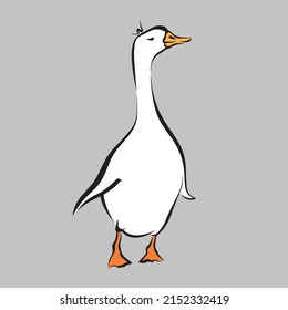 Little funny white duck on the gray background.
