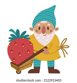 Little garden gnome with strawberry vector icon. Hand drawn illustration isolated on white backdrop. Cute old dwarf harvesting, transporting ripe berry in a cart. Flat cartoon style