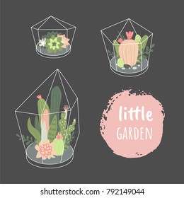 Little garden. Vector set with cute cactuses and succulents in terrariums. Illustration with home plants in scandinavian style.