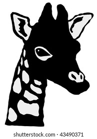 little giraffe