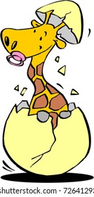 little giraffe