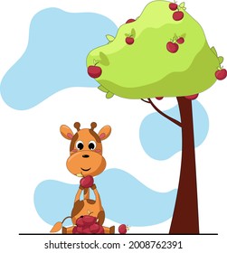 little giraffe sits under a tree and eats apples