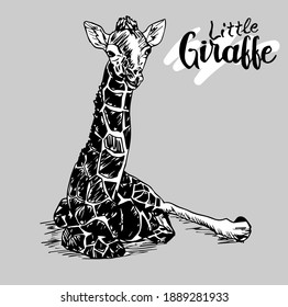 Little Giraffe vector image of a representative of Africa