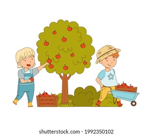 Little Girl and Boy Gathering Apples in Wheelbarrow Working on the Farm Vector Illustration