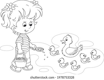 Little girl farmer standing with a bucket of feed grain and feeding a merry brood of small ducklings and a cute duck on a pond in a village, black and white vector cartoon illustration