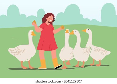 Little Girl Feeding Fowl on Nature. Child in Outdoor Zoo Park or Farm. Baby Character Care of Geese Birds on Poultry Farmland at Summertime, Farming Weekend Recreation. Cartoon Vector Illustration