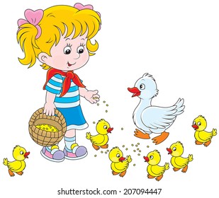 Little girl feeds a white duck and small yellow ducklings