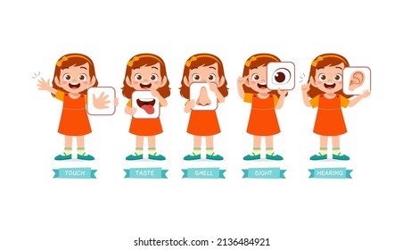 little girl holding card about 5 sensory organ