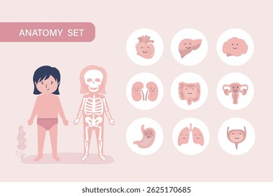Little girl with skeleton and internal organs. Human body anatomy. Educational infographic for kids. Set of different organs and systems, funny mascots. Anatomical structure. flat vector illustration