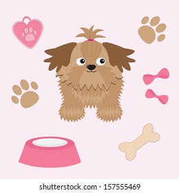 Little glamour tan Shih Tzu and dog stuff. Vector illustration.