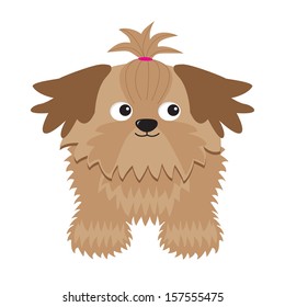 Little glamour tan Shih Tzu dog. Isolated. Vector illustration