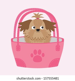 Little glamour tan Shih Tzu dog in the bag. Vector illustration.