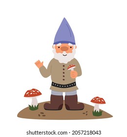 The little gnome collects a mushroom - fly agaric. Vector flat illustration