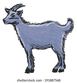 little goat