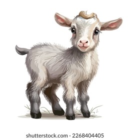 Little goat. A lovable small and cute household pet.