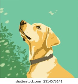 Little golden labrador looking up left warm green background
