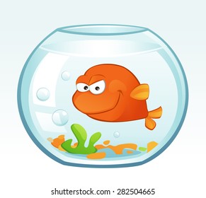 Little Goldfish (Mean)