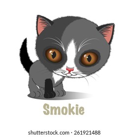 Little gray kitten, fluffy and pretty, looking for the friends, vector illustration