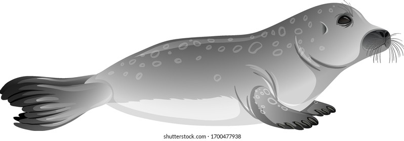 Little gray seal on white background illustration