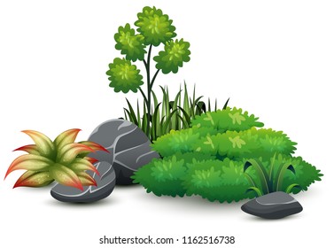 Little green plant botanical landscape