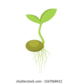 116,048 Germinate Images, Stock Photos & Vectors | Shutterstock