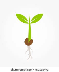 Little Green Plant Seedling Germinating From Seed Icon. Vector Illustration