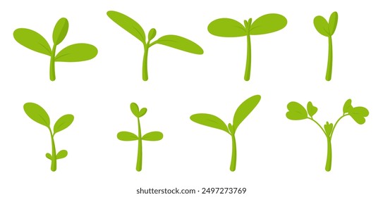 Little green seedlings growing in fertile soil, plant growth evolution from seed to sapling vector illustration