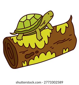 little green tortoise resting on wood branch near water pond