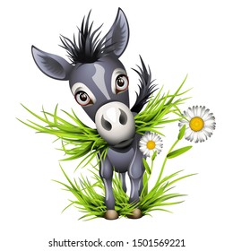 Little grey donkey eating grass