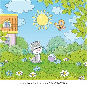 Kleines graues Kätzchen, das an einem sonnigen Sommertag mit einem feinen, hellen Schmetterling auf einem grünen Rasen von einem bunten Dorfhaus spielt, Vektorillustration-Cartoon-Illustration