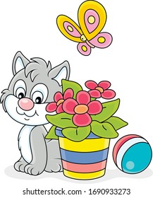 Kleines graues Kätzchen, das in der Nähe einer schönen Fensterblume in einem gestreiften Blumentopf sitzt und einen flitzenden, hellen Schmetterling anschaut, Cartoon-Illustration auf weißem Hintergrund