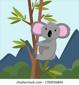 little grey koala on eucalyptus tree