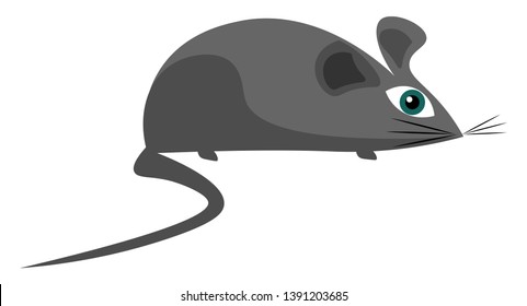 Little grey mouse illustration vector on white background 