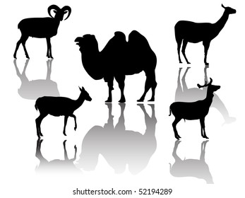 little group of hoofed animals