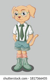 A little handsome brown dog standing wearing a white shirt shorts, shoes and eyeglasses