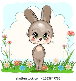 Little hare. Rabbit cub. Cute funny animal on the background of a summer blooming meadow. Child. Cartoon style. Isolated on white. vector