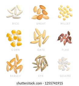 Сereal little heaps set. Rice, wheat, millet, corn, oats, flax, barley, rye and sesame seeds. Agriculture and nutrition vector icons collection. Isolated and signed on white.