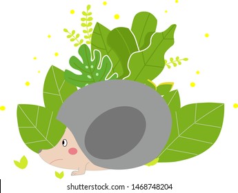 little hedgehog in the grass
