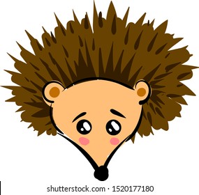 Little hedgehog, illustration, vector on white background.