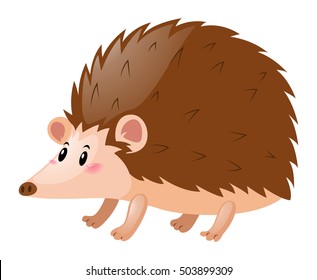 Little hedgehog on white background illustration