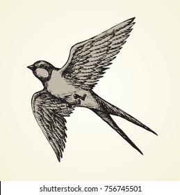 Little house barn martins on light sky backdrop. Freehand line dark ink hand drawn logotype sketchy in art retro scribble etching style pen on paper. Closeup view with space for text