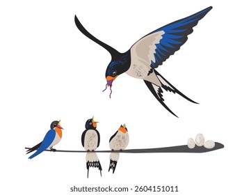 Little hungry chicks sit on branch waiting for their parents with food. Swallow carrying worm in the key for small children. Vector isolated drawing without background.