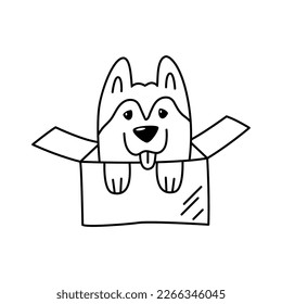 Little husky dog in a cardboard box. Linear doodle illustration of a pet. Cute design element for animal shelters
