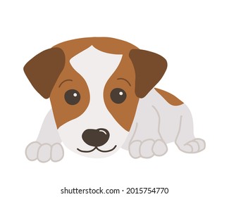 Little jack russel terrier. Cartoon style. Vector isolated on white background